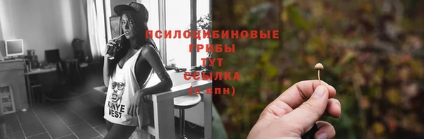 apvp Лихославль