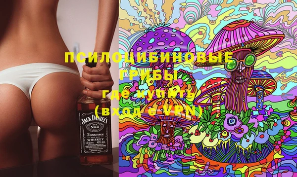 apvp Лихославль