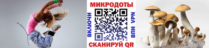 где купить наркотик  Орск  Галлюциногенные грибы Psilocybe 