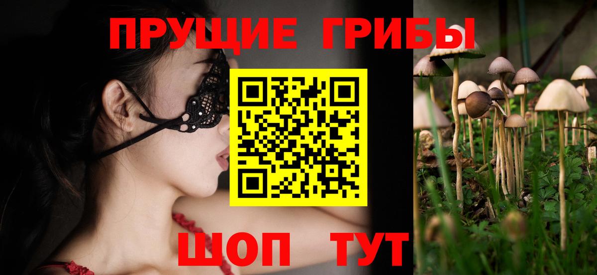 Орск  Псилоцибиновые грибы Psilocybine cubensis  Вход с VPN 