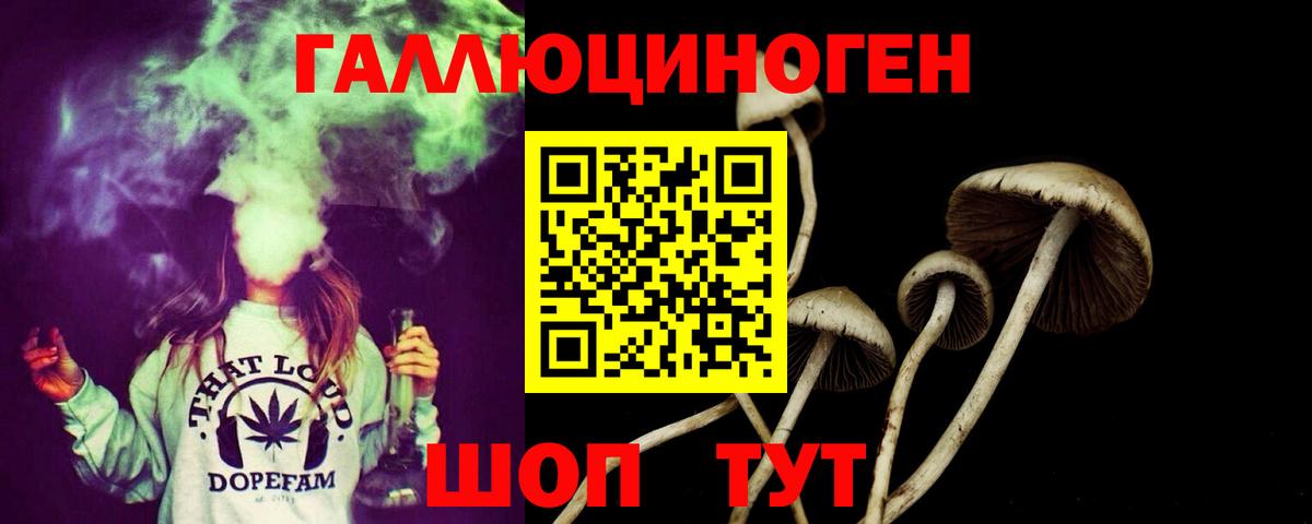 Галлюциногенные грибы Psilocybe  Орск 